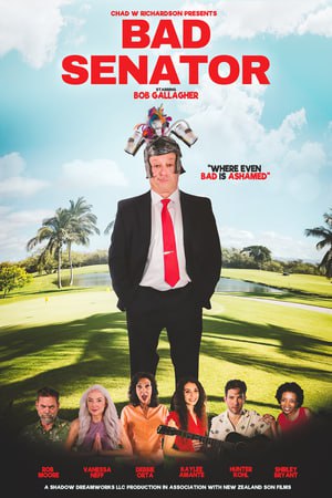 Плохой сенатор